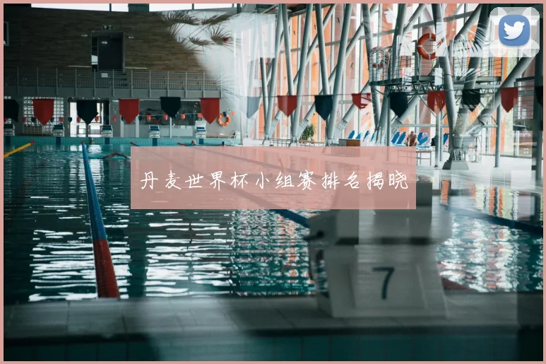丹麦世界杯小组赛排名揭晓