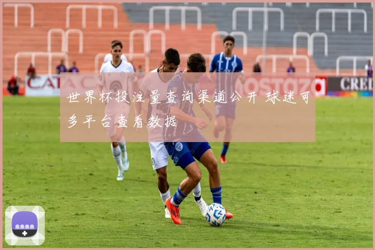 世界杯投注量查询渠道公开 球迷可多平台查看数据