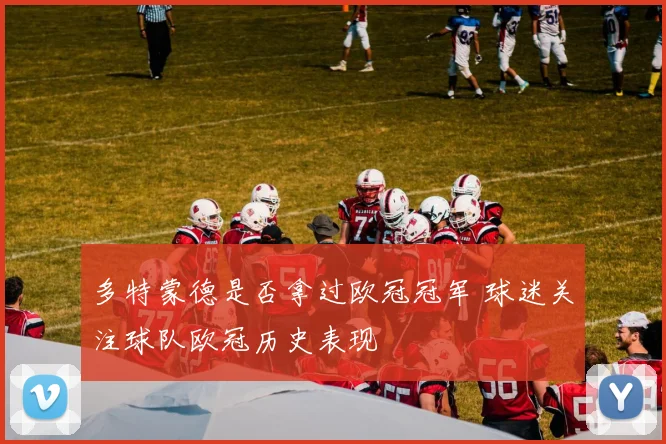 多特蒙德是否拿过欧冠冠军 球迷关注球队欧冠历史表现