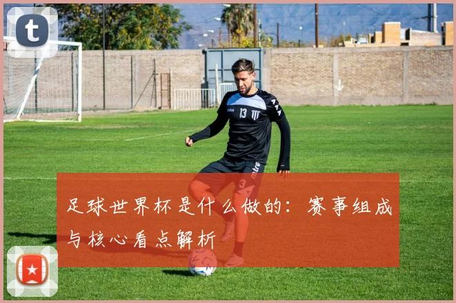 足球世界杯是什么做的：赛事组成与核心看点解析