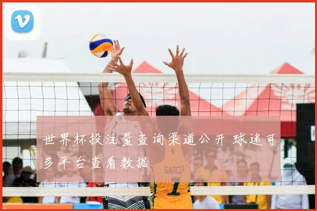 世界杯投注量查询渠道公开 球迷可多平台查看数据