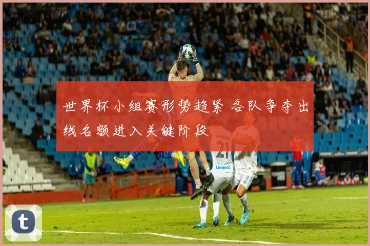 世界杯小组赛形势趋紧 各队争夺出线名额进入关键阶段