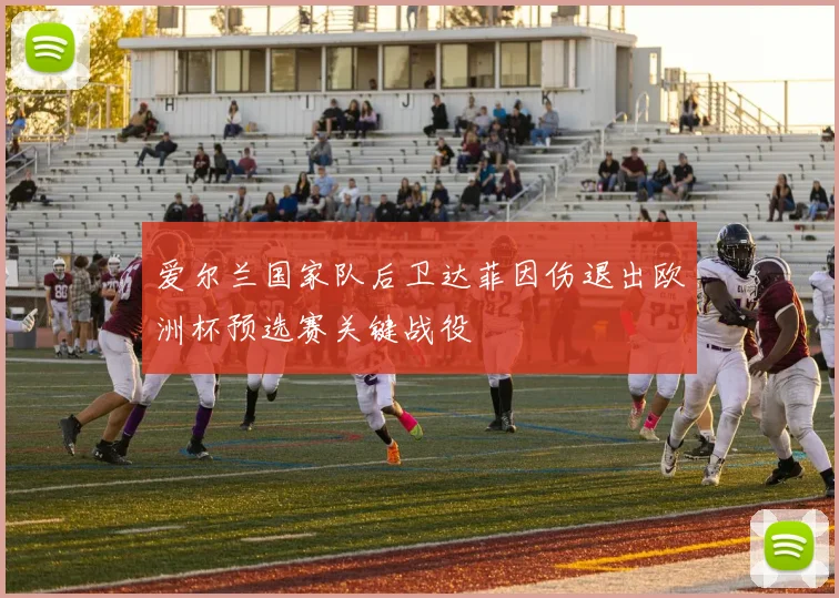 爱尔兰国家队后卫达菲因伤退出欧洲杯预选赛关键战役