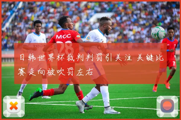 日韩世界杯裁判判罚引关注 关键比赛走向被吹罚左右