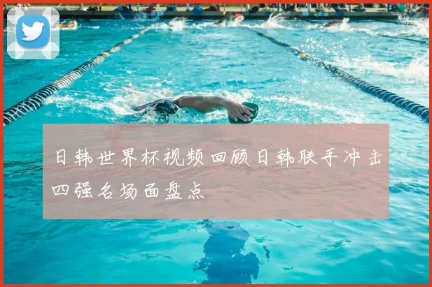 日韩世界杯视频回顾日韩联手冲击四强名场面盘点